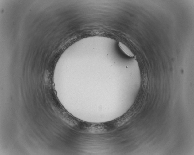 X0000086070270200704202134