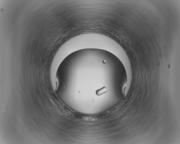 X0000086070272200704202134