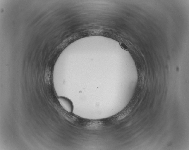 X0000086070274200704202134