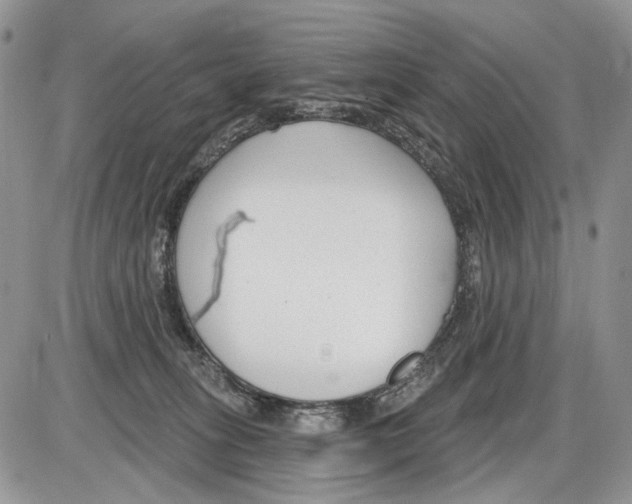 X0000086070275200704202134