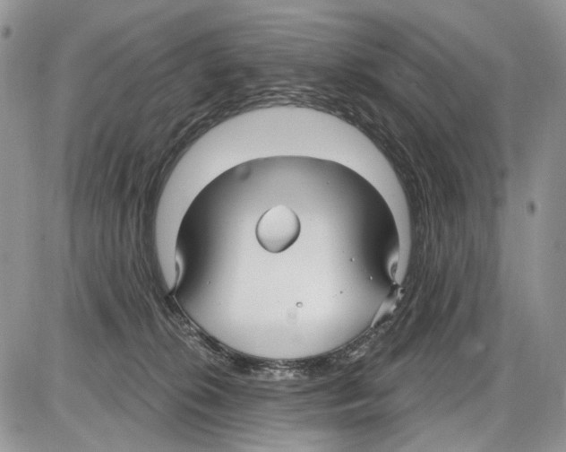 X0000086070276200704202134