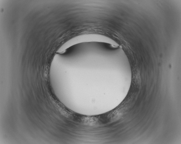 X0000086070277200704202134