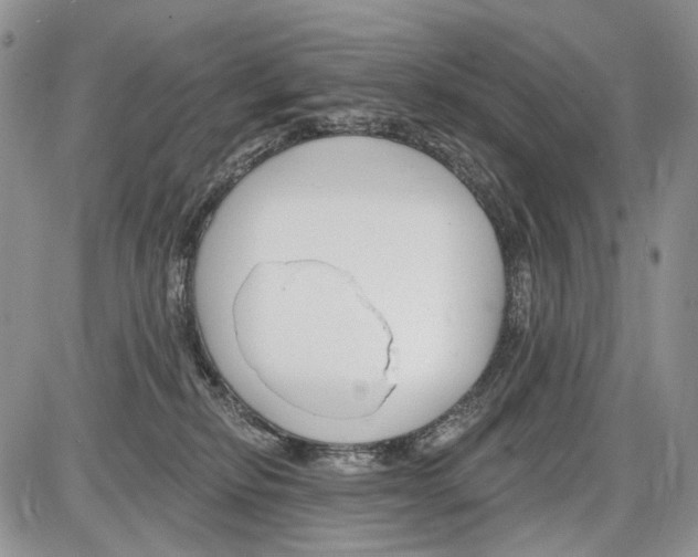 X0000086070278200704202134