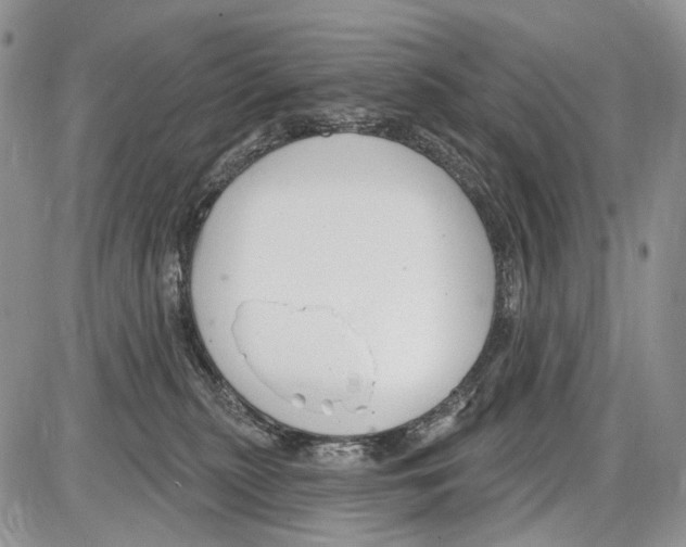 X0000086070279200704202134