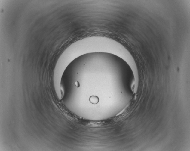 X0000086070280200704202134