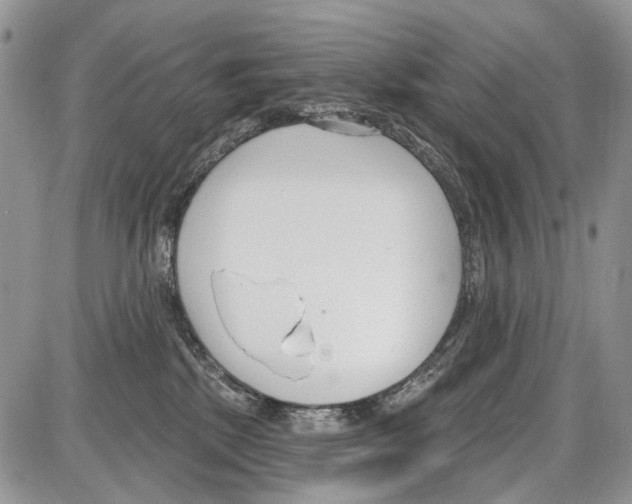 X0000086070281200704202134