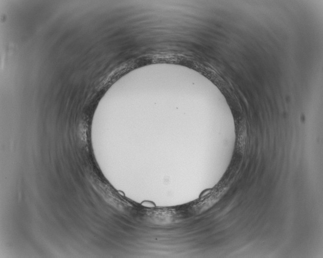 X0000086070282200704202134