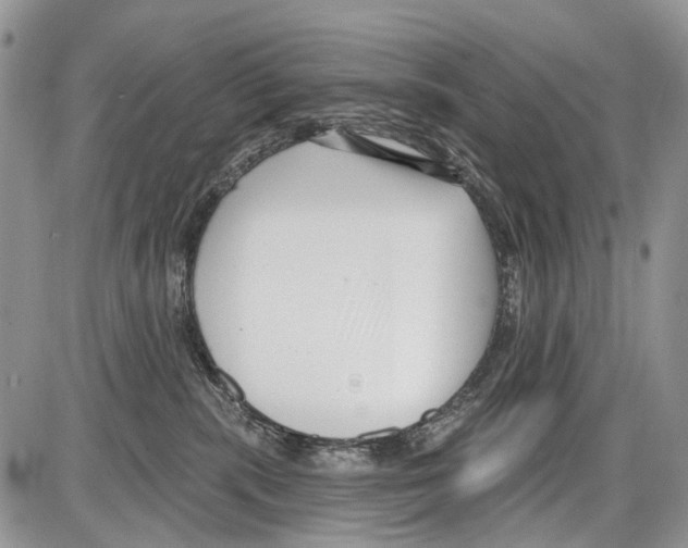 X0000086070283200704202134