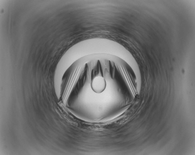 X0000086070284200704202134