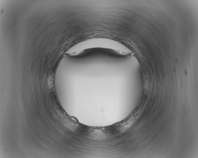 X0000086070285200704202134