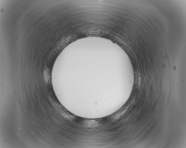 X0000086070287200704202134