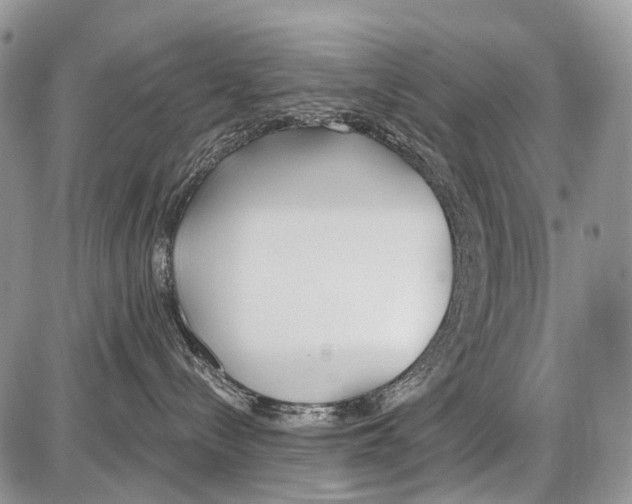 X0000086070288200704202134