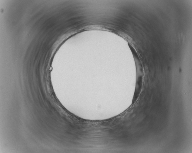 X0000086070289200704202133