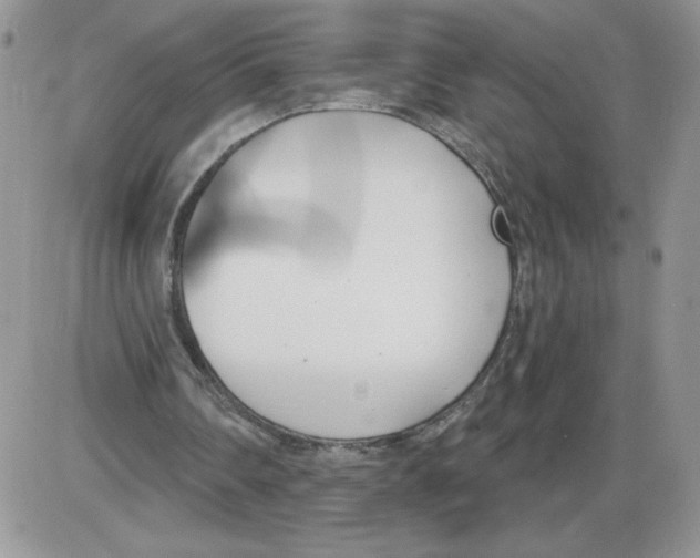 X0000086070290200704202133