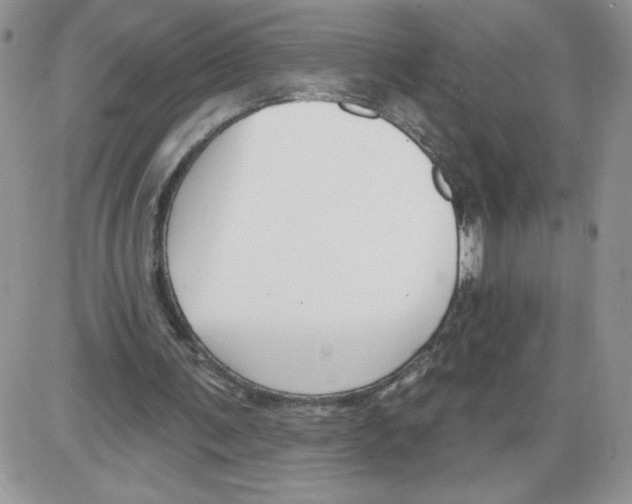 X0000086070291200704202133