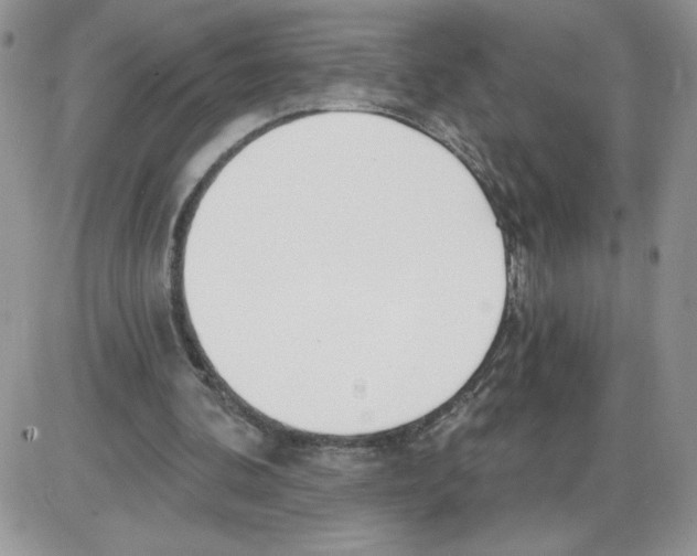 X0000086070292200704202133