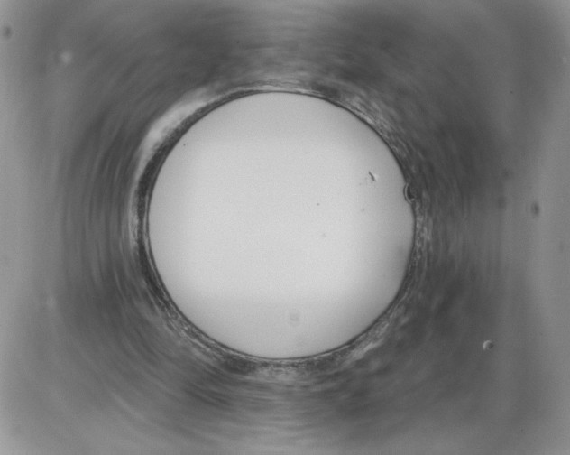 X0000086070294200704202133