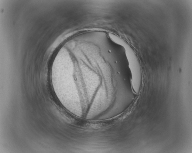 X0000086070295200704202133