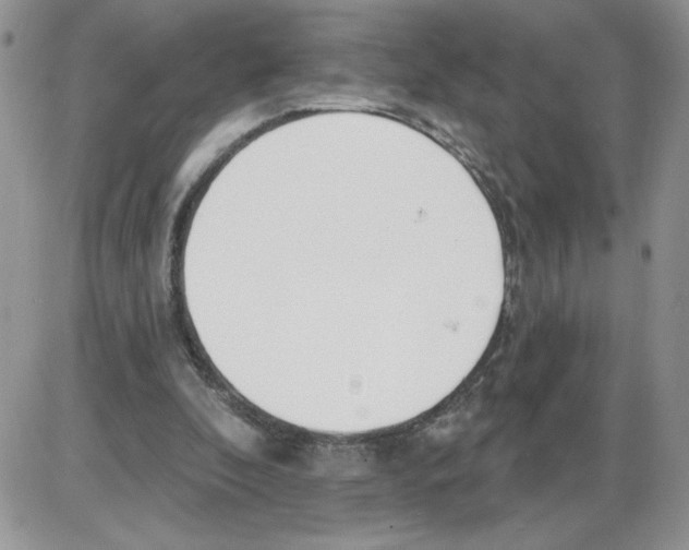 X0000086070296200704202133