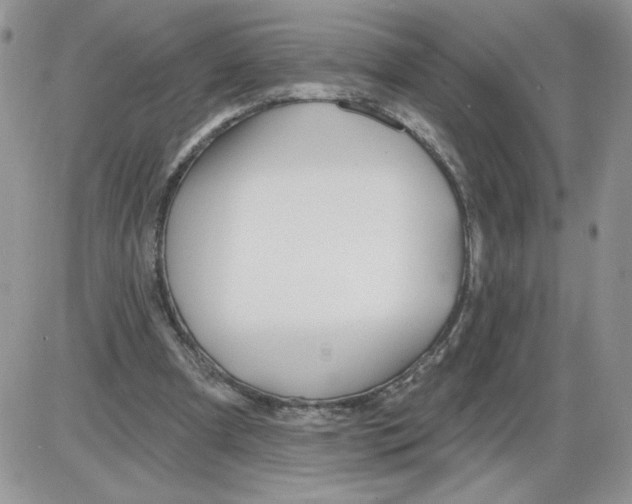 X0000086070297200704202133