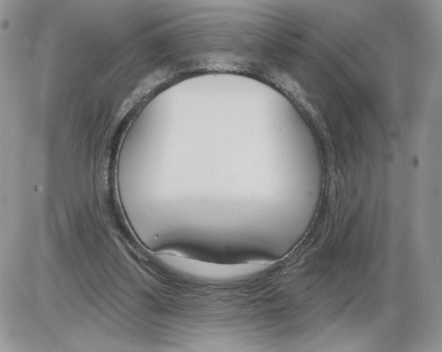 X0000086070299200704202133