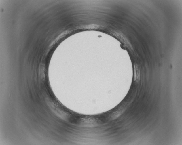 X0000086070300200704202133