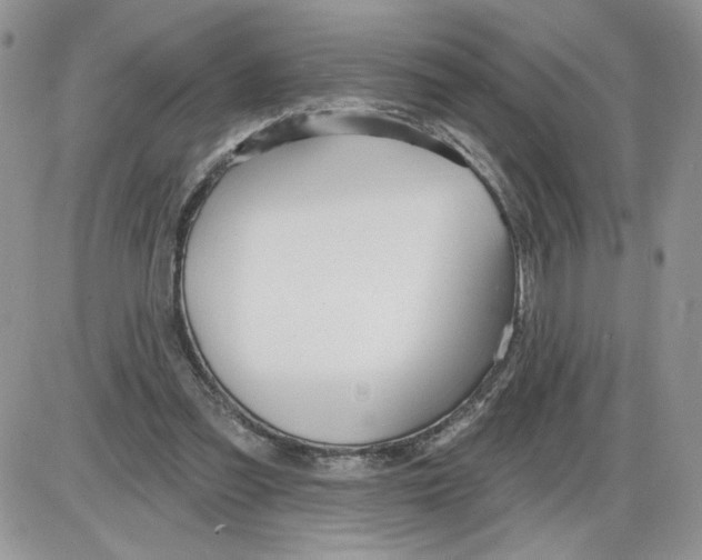 X0000086070301200704202133