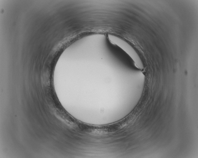 X0000086070303200704202133