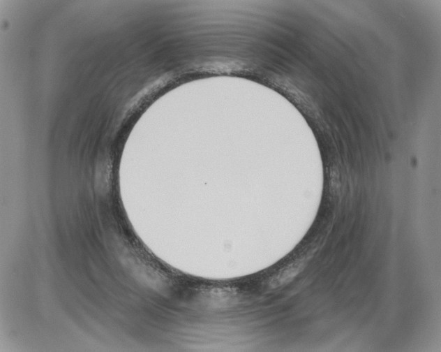 X0000086070304200704202133