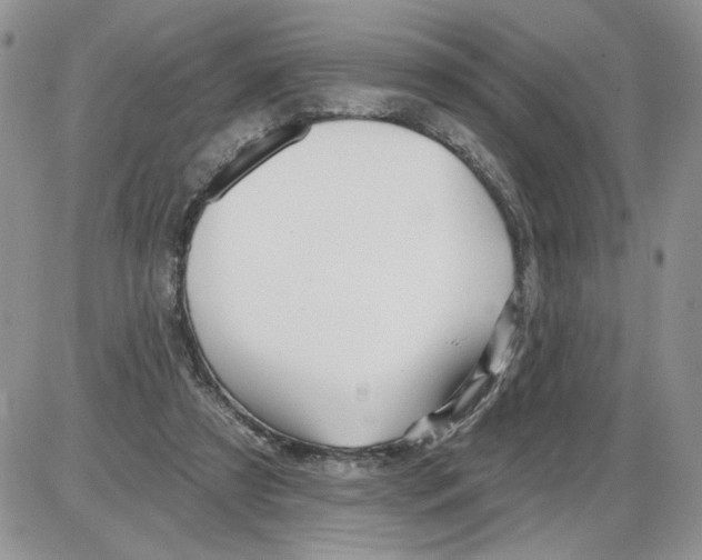 X0000086070305200704202133