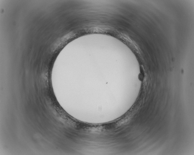 X0000086070306200704202133