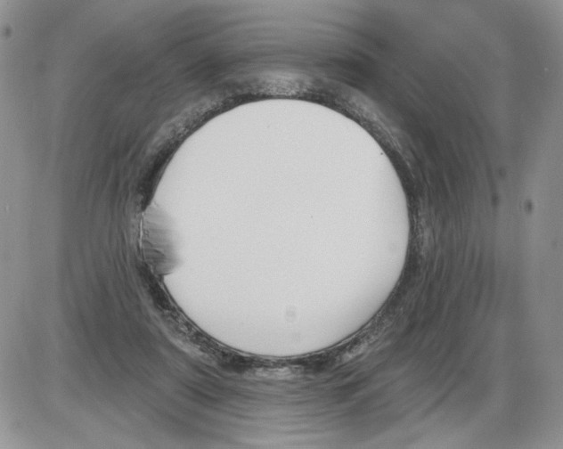 X0000086070307200704202133