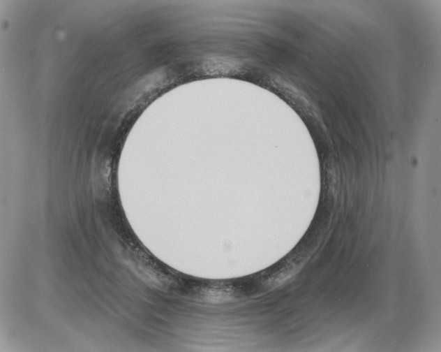 X0000086070308200704202133