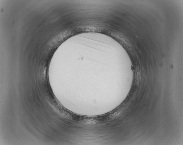 X0000086070310200704202133