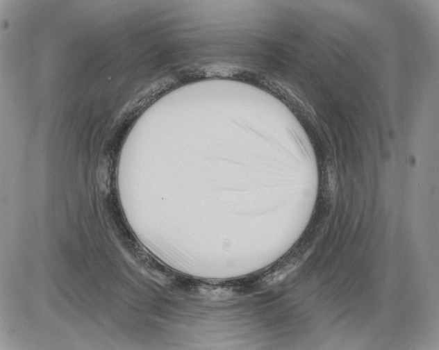 X0000086070311200704202133