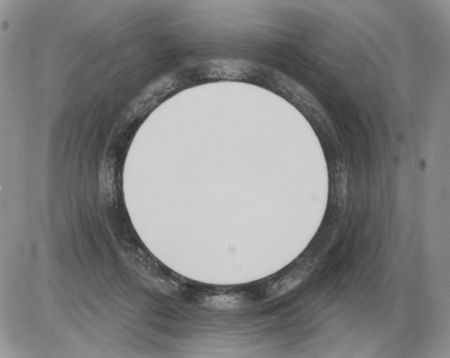 X0000086070312200704202133