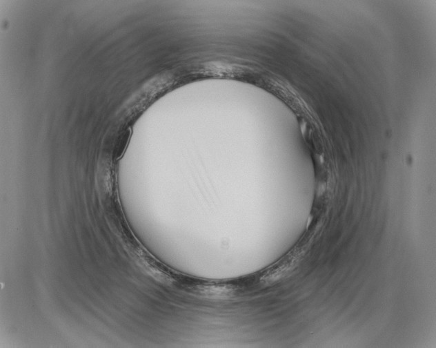 X0000086070313200704202133