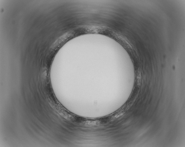 X0000086070314200704202133