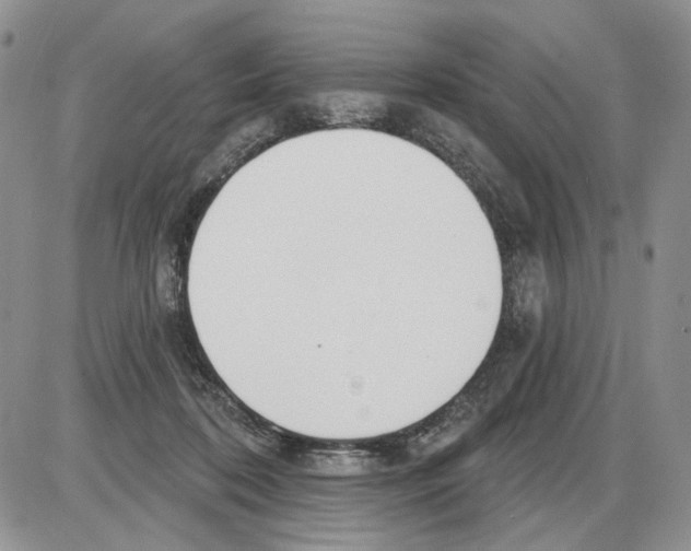 X0000086070316200704202133