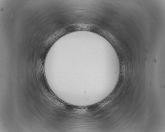 X0000086070318200704202133