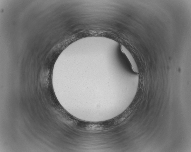 X0000086070319200704202133