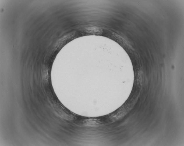 X0000086070320200704202133