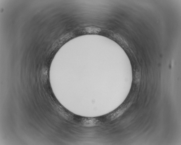 X0000086070321200704202133