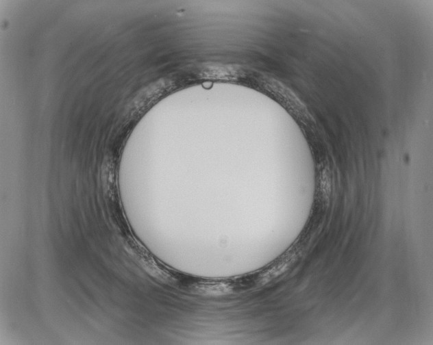 X0000086070322200704202133