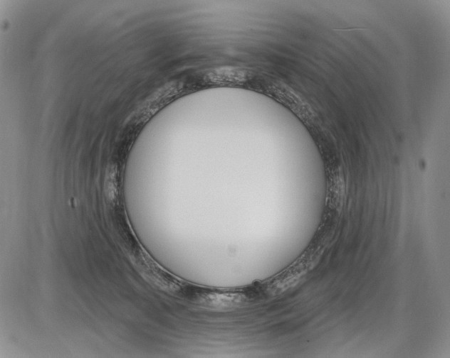 X0000086070323200704202133