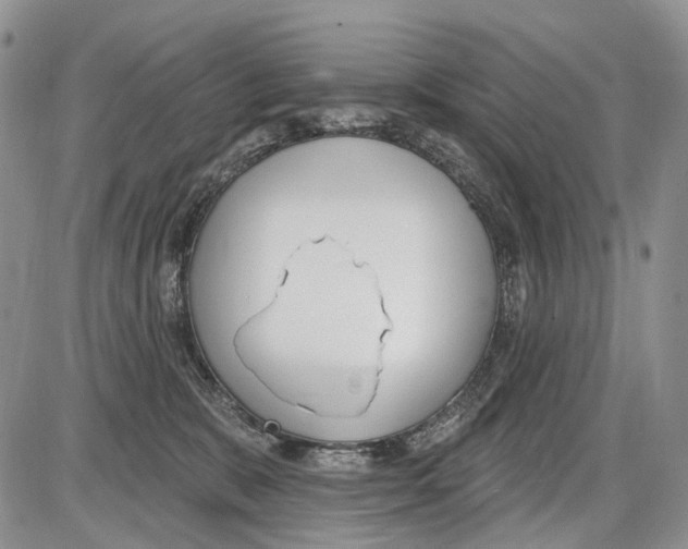 X0000086070327200704202132