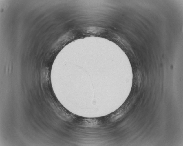 X0000086070328200704202132