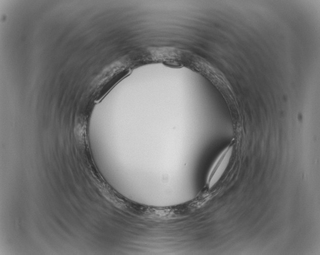 X0000086070329200704202132