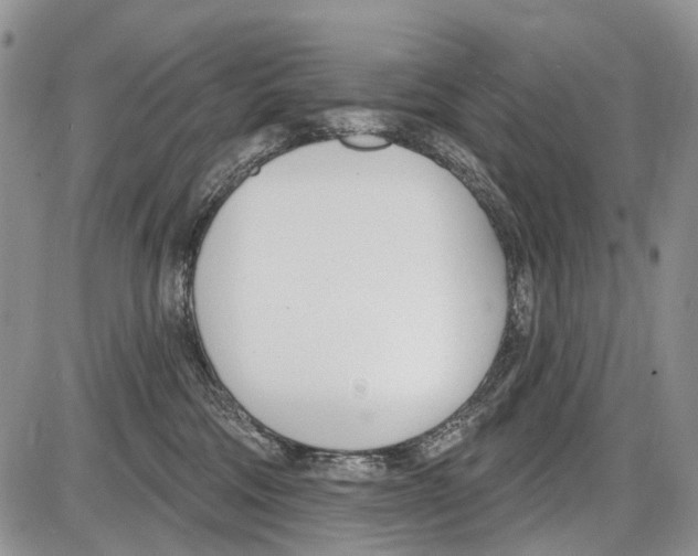 X0000086070330200704202132