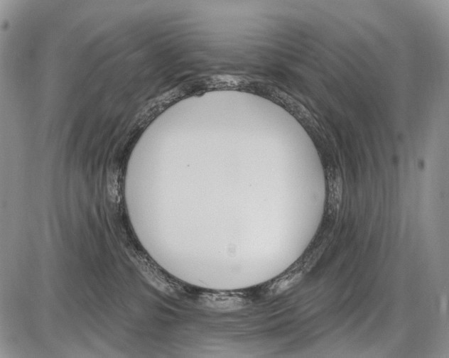 X0000086070331200704202132